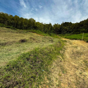 Lote 43 - 5200m2