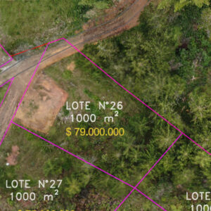 Lote 26