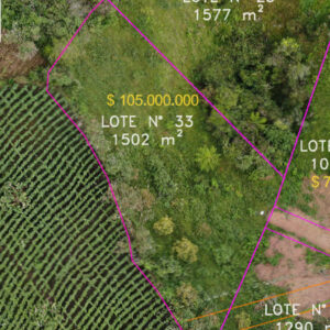 Lote 33