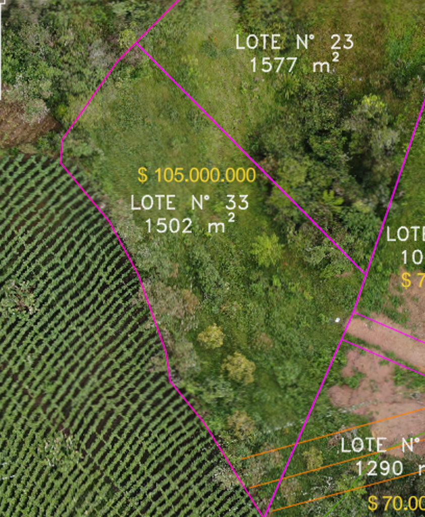 Lote 33