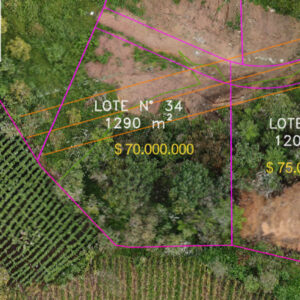 Lote 34