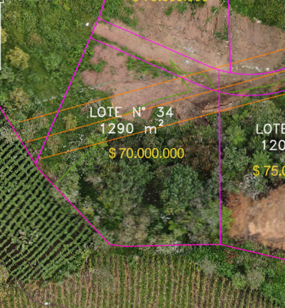 Lote 34