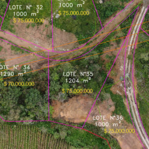 Lote 35