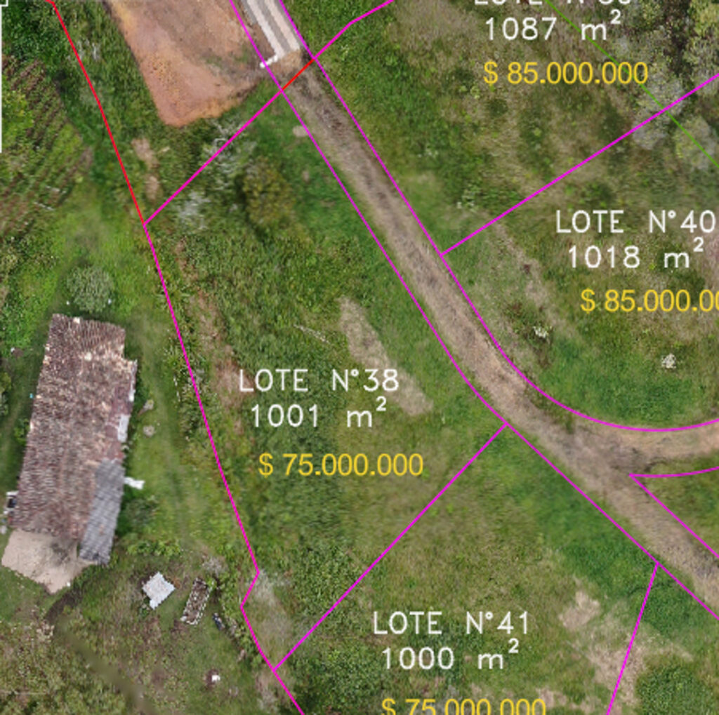 Lote 38