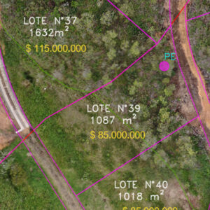 Lote 39 (VENDIDO)
