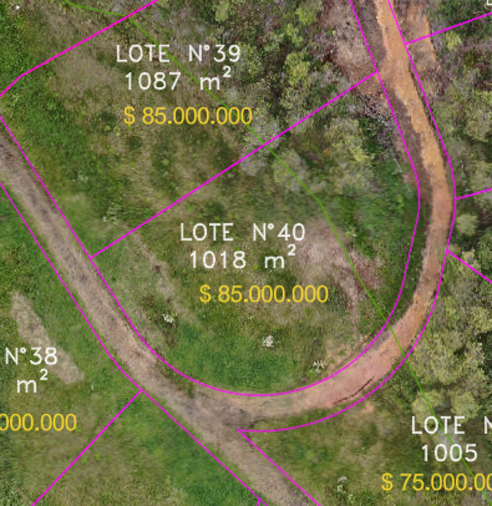 Lote 40