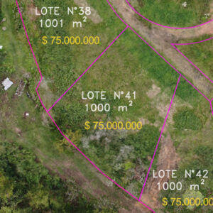Lote 41