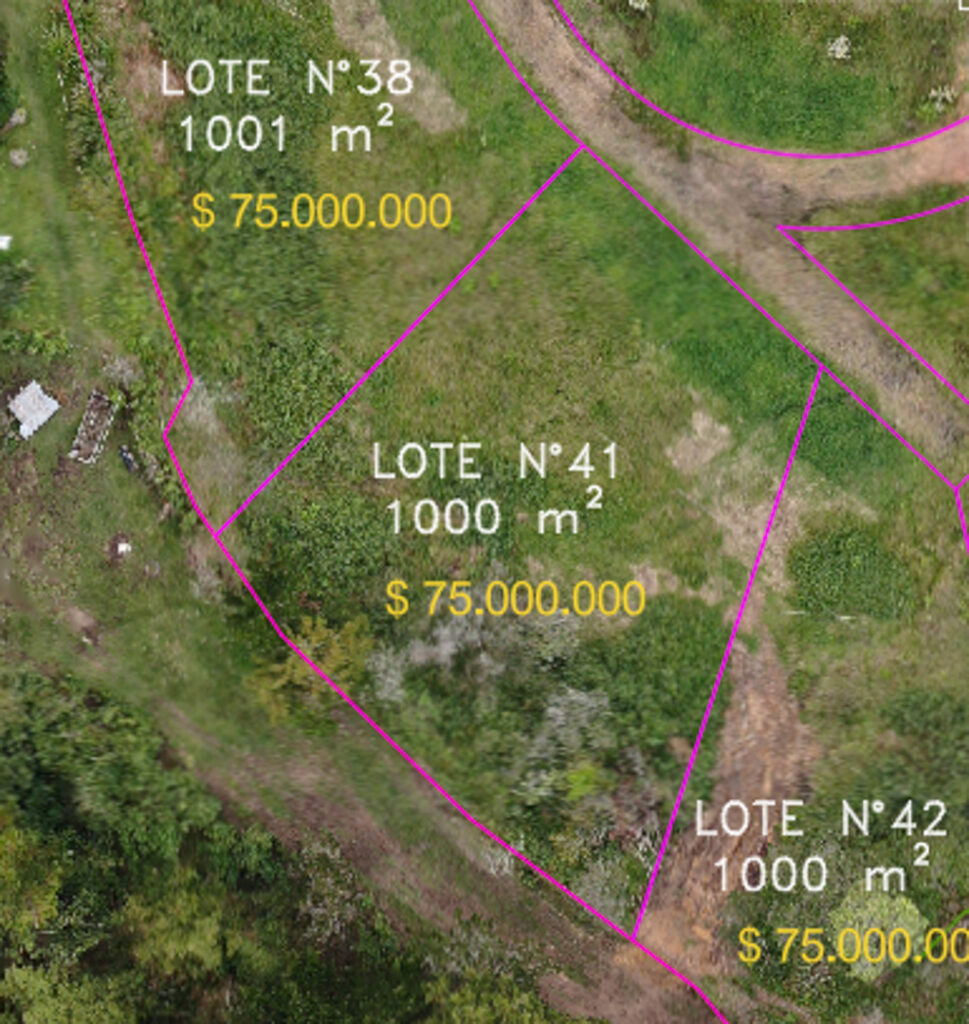 Lote 41