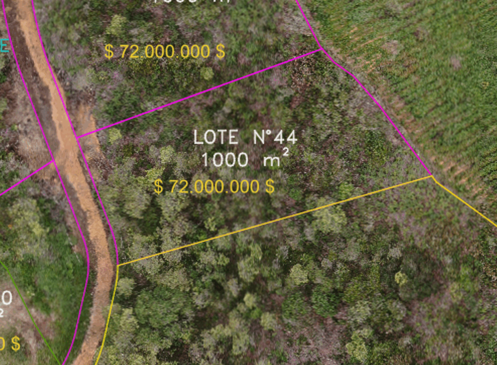 Lote 44