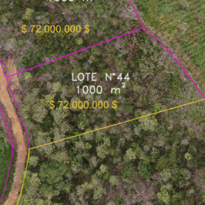 Lote 44