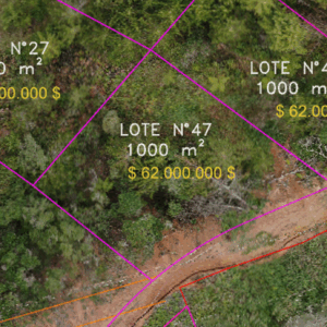 Lote 47