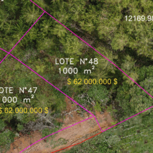Lote 48